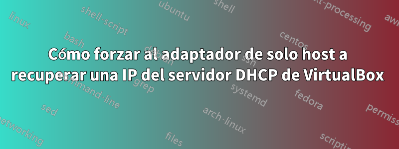 Cómo forzar al adaptador de solo host a recuperar una IP del servidor DHCP de VirtualBox