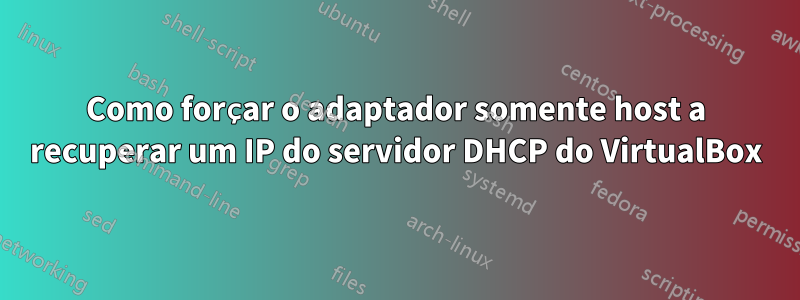 Como forçar o adaptador somente host a recuperar um IP do servidor DHCP do VirtualBox