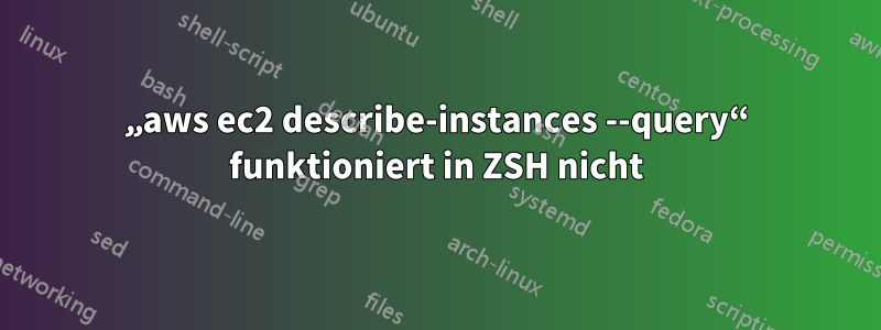 „aws ec2 describe-instances --query“ funktioniert in ZSH nicht