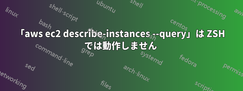 「aws ec2 describe-instances --query」は ZSH では動作しません