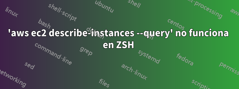 'aws ec2 describe-instances --query' no funciona en ZSH