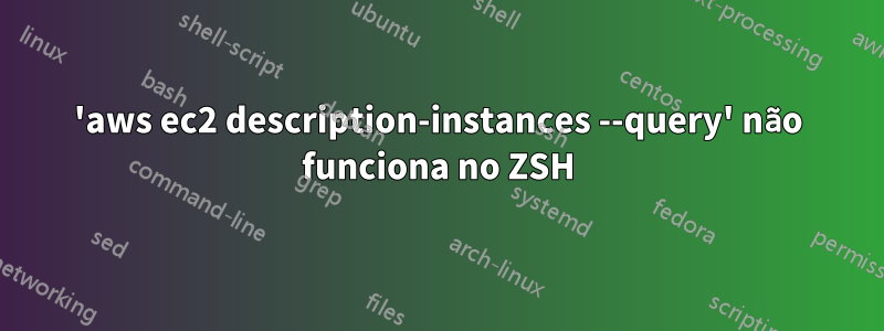 'aws ec2 description-instances --query' não funciona no ZSH