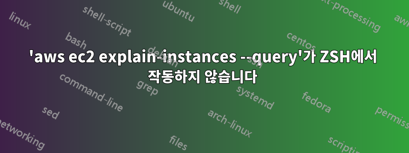 'aws ec2 explain-instances --query'가 ZSH에서 작동하지 않습니다