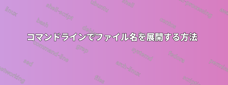 コマンドラインでファイル名を展開する方法 