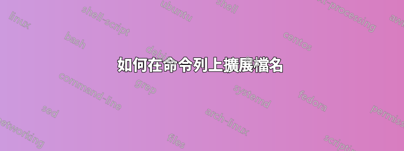 如何在命令列上擴展檔名