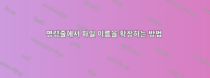 명령줄에서 파일 이름을 확장하는 방법