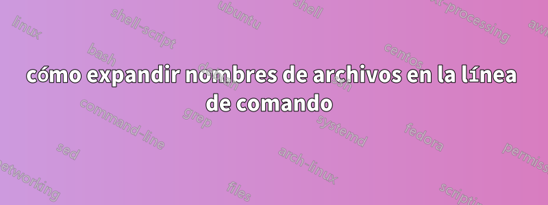cómo expandir nombres de archivos en la línea de comando 