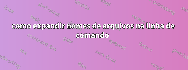 como expandir nomes de arquivos na linha de comando 