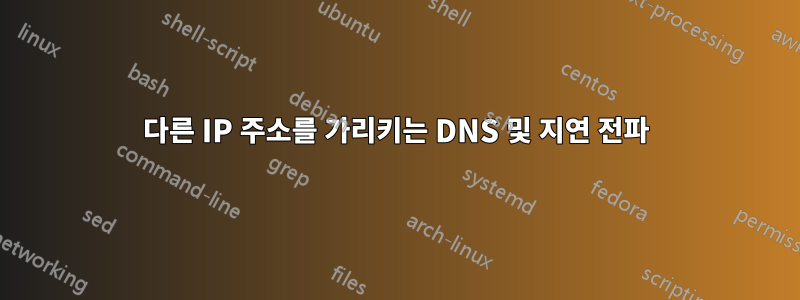 다른 IP 주소를 가리키는 DNS 및 지연 전파
