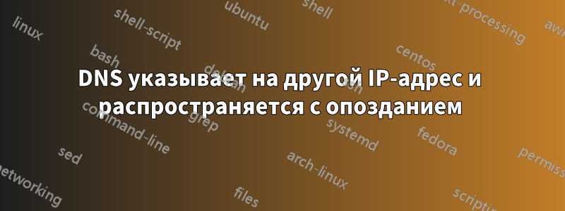 DNS указывает на другой IP-адрес и распространяется с опозданием
