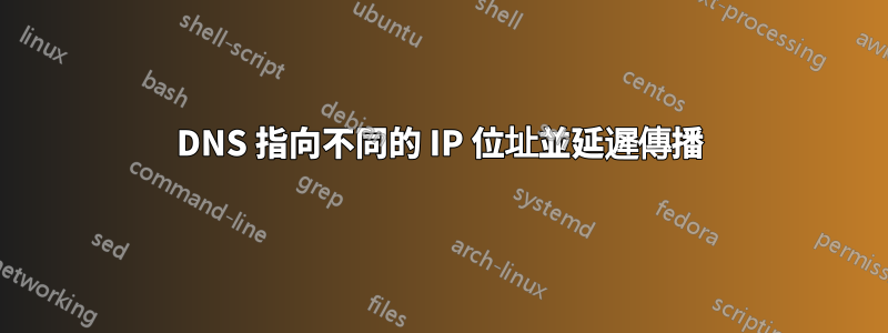 DNS 指向不同的 IP 位址並延遲傳播