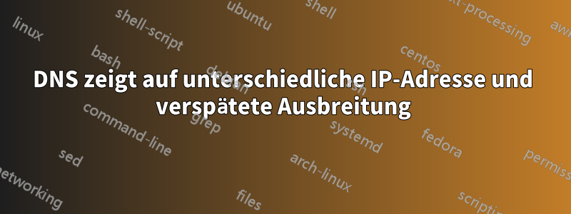 DNS zeigt auf unterschiedliche IP-Adresse und verspätete Ausbreitung