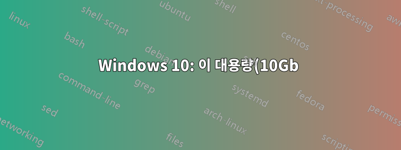 Windows 10: 이 대용량(10Gb) 파일을 어떻게 삭제합니까?