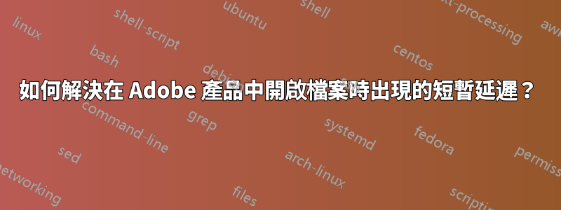 如何解決在 Adob​​e 產品中開啟檔案時出現的短暫延遲？