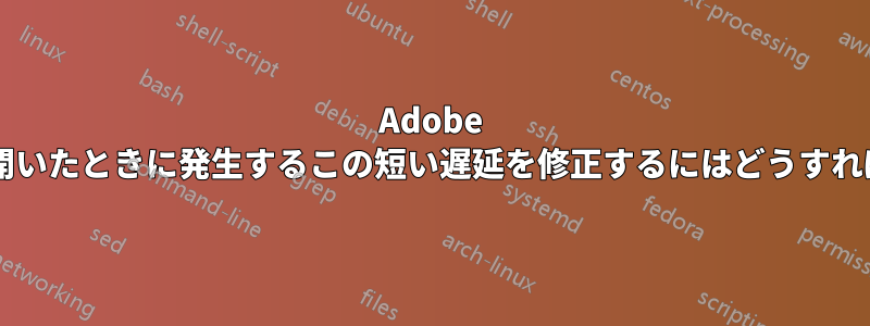 Adobe 製品でファイルを開いたときに発生するこの短い遅延を修正するにはどうすればよいでしょうか?