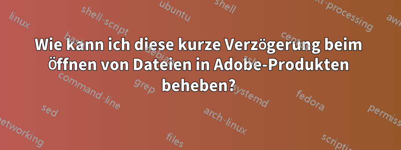 Wie kann ich diese kurze Verzögerung beim Öffnen von Dateien in Adobe-Produkten beheben?