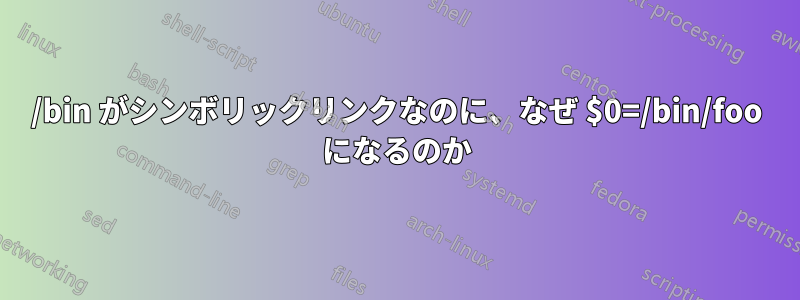 /bin がシンボリックリンクなのに、なぜ $0=/bin/foo になるのか