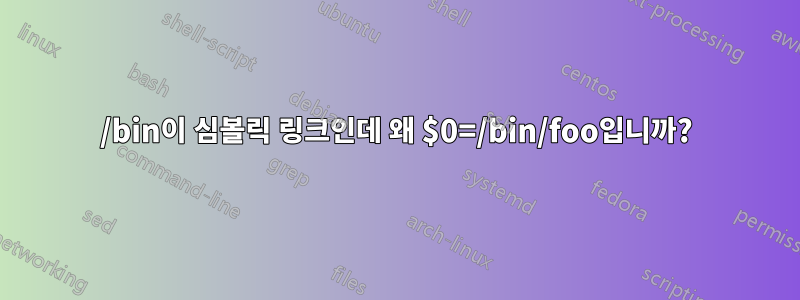 /bin이 심볼릭 링크인데 왜 $0=/bin/foo입니까?
