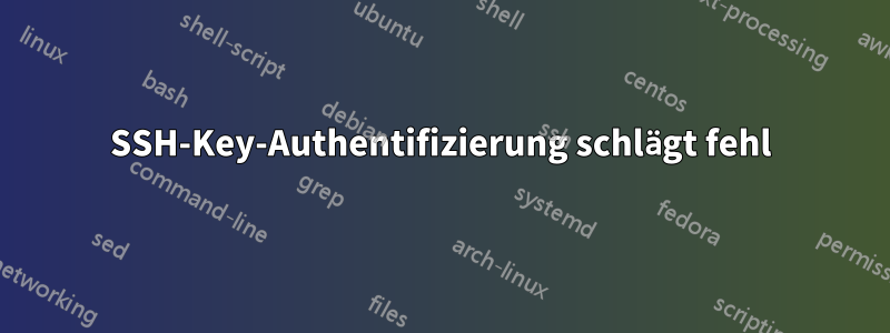 SSH-Key-Authentifizierung schlägt fehl