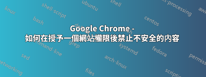 Google Chrome - 如何在授予一個網站權限後禁止不安全的內容