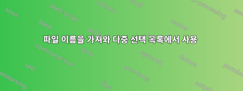 파일 이름을 가져와 다중 선택 목록에서 사용