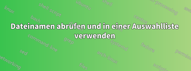 Dateinamen abrufen und in einer Auswahlliste verwenden