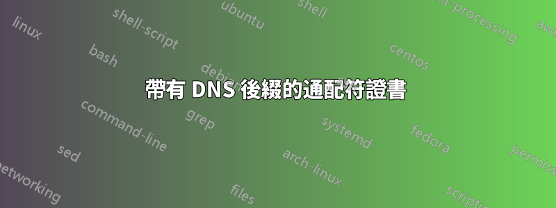 帶有 DNS 後綴的通配符證書