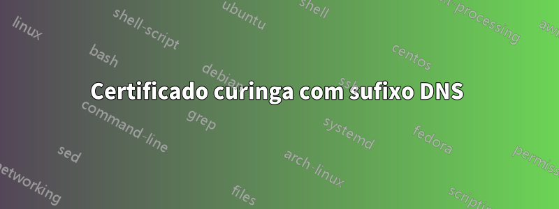Certificado curinga com sufixo DNS