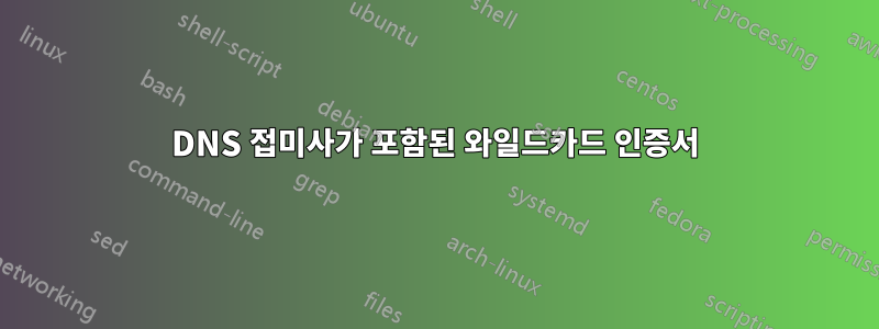 DNS 접미사가 포함된 와일드카드 인증서