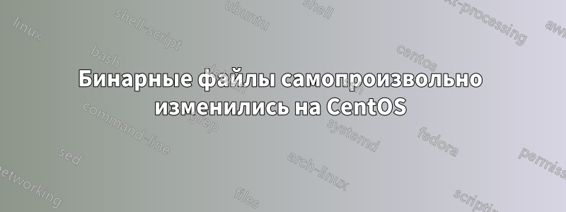 Бинарные файлы самопроизвольно изменились на CentOS