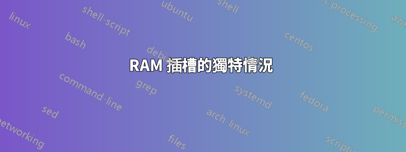 RAM 插槽的獨特情況