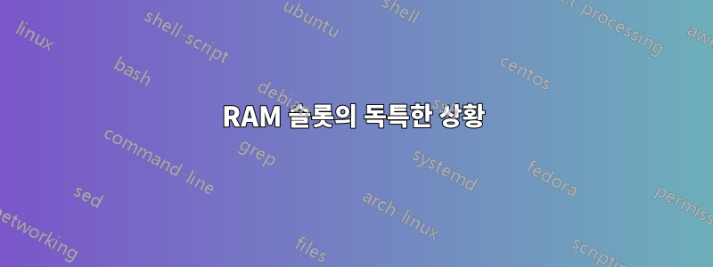 RAM 슬롯의 독특한 상황