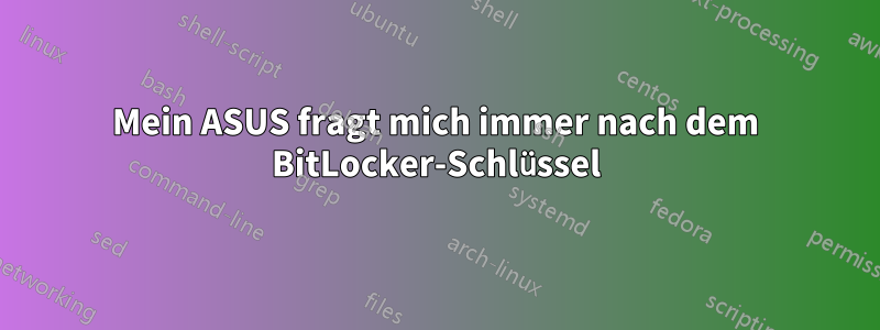Mein ASUS fragt mich immer nach dem BitLocker-Schlüssel