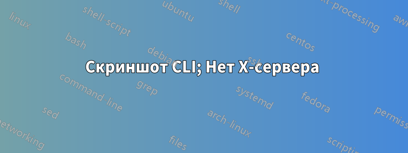Скриншот CLI; Нет X-сервера