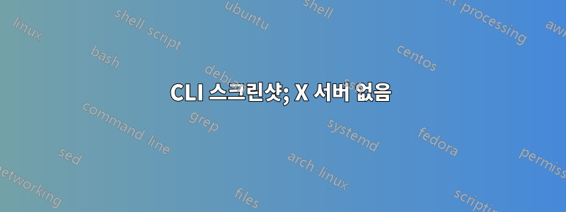 CLI 스크린샷; X 서버 없음