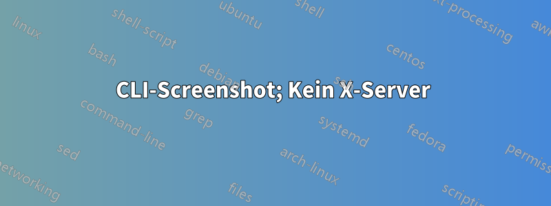 CLI-Screenshot; Kein X-Server