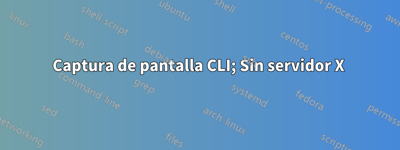 Captura de pantalla CLI; Sin servidor X