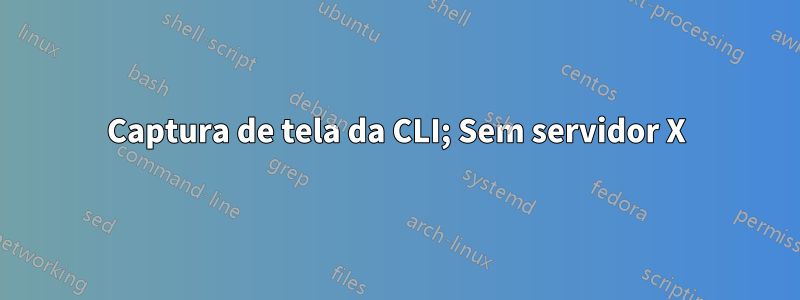 Captura de tela da CLI; Sem servidor X