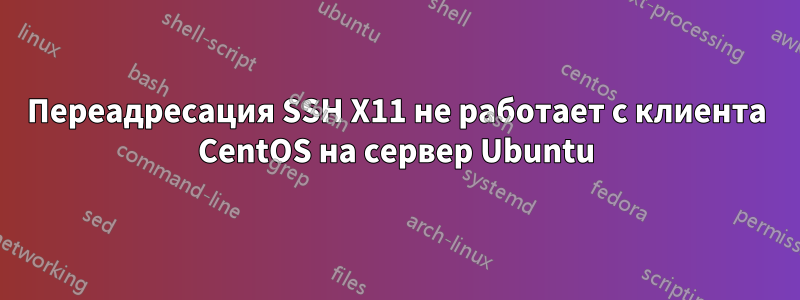 Переадресация SSH X11 не работает с клиента CentOS на сервер Ubuntu