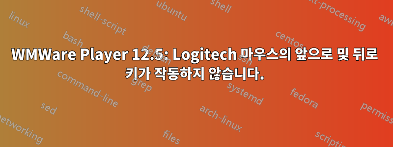 WMWare Player 12.5: Logitech 마우스의 앞으로 및 뒤로 키가 작동하지 않습니다.