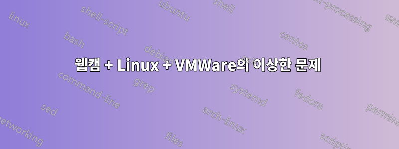웹캠 + Linux + VMWare의 이상한 문제