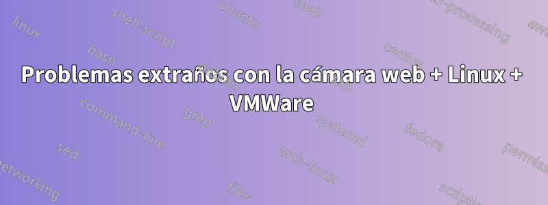 Problemas extraños con la cámara web + Linux + VMWare