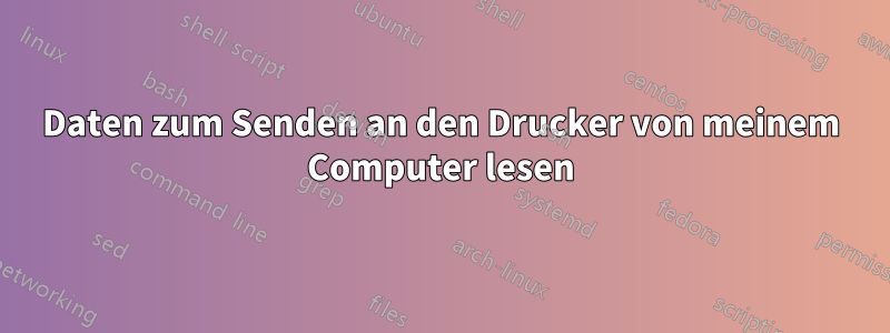 Daten zum Senden an den Drucker von meinem Computer lesen