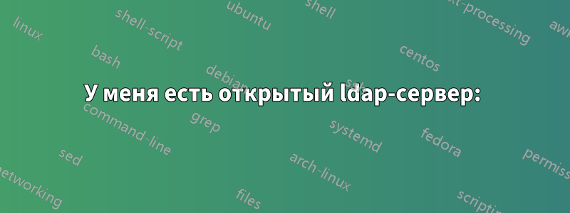 У меня есть открытый ldap-сервер:
