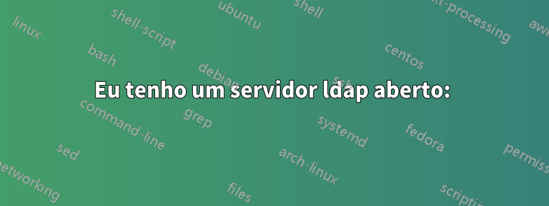 Eu tenho um servidor ldap aberto: