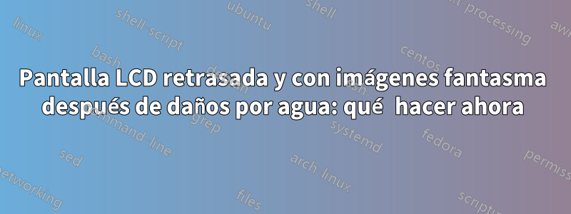 Pantalla LCD retrasada y con imágenes fantasma después de daños por agua: qué hacer ahora