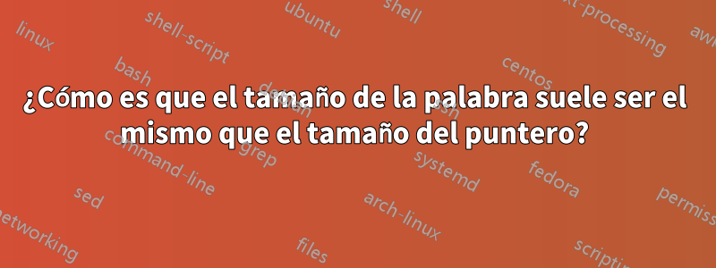 ¿Cómo es que el tamaño de la palabra suele ser el mismo que el tamaño del puntero?