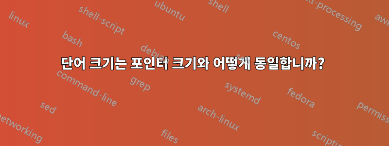 단어 크기는 포인터 크기와 어떻게 동일합니까?