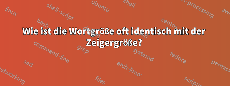 Wie ist die Wortgröße oft identisch mit der Zeigergröße?