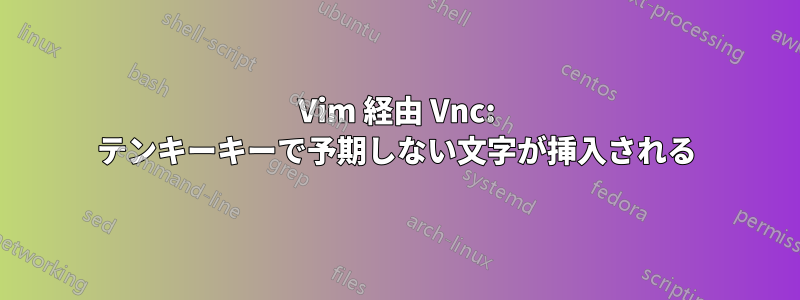 Vim 経由 Vnc: テンキーキーで予期しない文字が挿入される